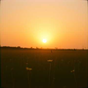 Golden Hour Glow・アコースティック・Acoustic