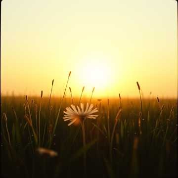 Morning Glow (4)・アコースティック・Acoustic