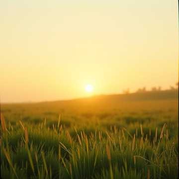 Morning Glow (13)・アコースティック・Acoustic