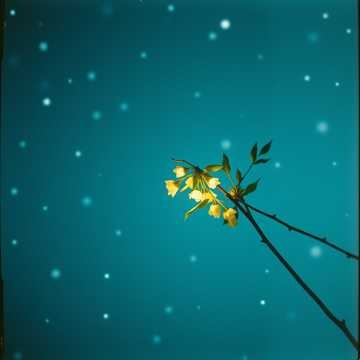 Snowfall Serenade (10)クリスマス Christmas song R&B