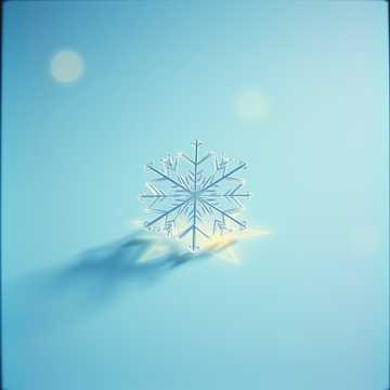 Snowfall and Starlight (1) クリスマス Christmas