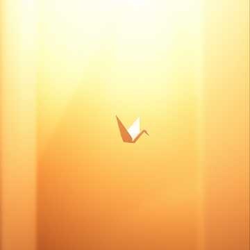 Paper Wings  オルゴール music box